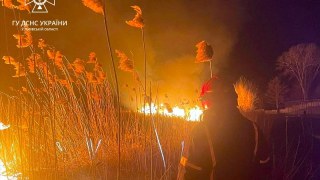 За добу на Львівщині зафіксували вісім пожеж сухостою