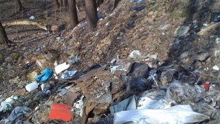 На Львівщині ліквідували 55 стихійних сміттєзвалищ