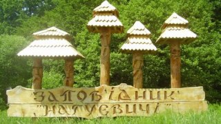 Історико-культурний заповідник "Нагуєвичі" може отримати статус "національного"