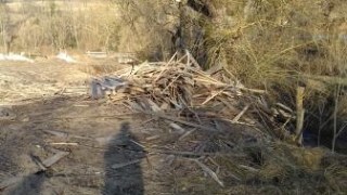 Голову сільради на Старосамбірщині притягнули до відповідальності через сміття