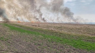 За добу на Львівщині зафіксували 18 пожеж сухостою