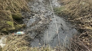 У Брюховичах меліоративний канал забруднюють каналізаційними стоками