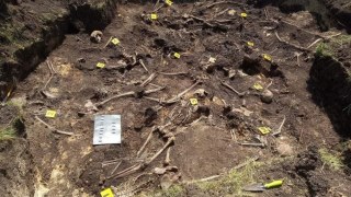 На Львівщині виявили масове поховання воїнів УПА