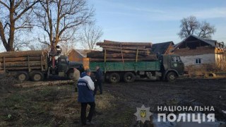 На Старосамбірщині виявили пилораму із необлікованою деревиною