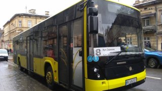 Олена Пелех вимагає врегулювати графіки громадського транспорту у Брюховичах