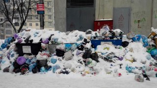 Частина Сихівського і Франківського районів Львова знову потопає у смітті