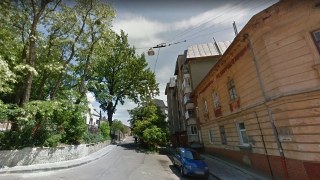 У Львові збережуть древній дуб на вулиці Воробкевича