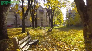 У Львові парк біля психлікарні офіційно визнали пам’яткою садово-паркового мистецтва