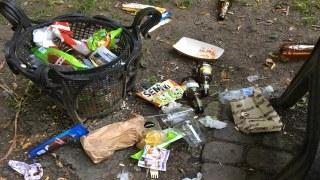 Гори сміття та поламані лавочки в Стрийському парку  – у Львові відзначили День Конституції