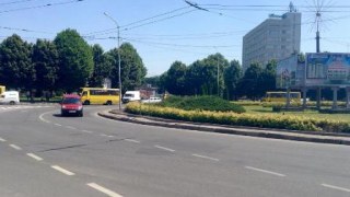 На проспекті Чорновола у Львові висадять нові дерева