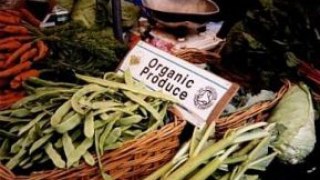 Львів'яни зможуть придбати товари на ярмарку органічної продукції