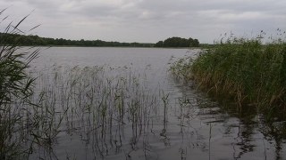 На Львівщині під час купання у річці втопився чоловік
