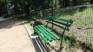 Жодна фірма не зголосилася облаштувати нові смітники у парках Львова