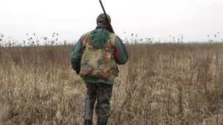 На Сокальщині виявили підробку документів на полювання