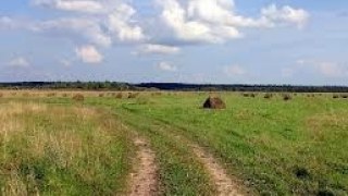 13 га земель лісового фонду у Брюховичах повернуті у державну власність