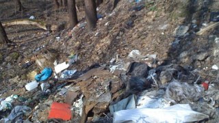 У Львові ліквідують незаконне звалище промислових відходів