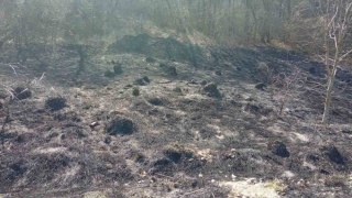 У парку Знесіння через підпали пошкоджено 4 га заповідної зони