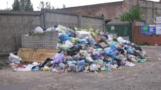 У Львові майже 500 майданчиків із сміттям є переповненими