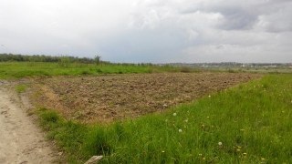 На Львівщині підприємець незаконно отримав 9 га землі