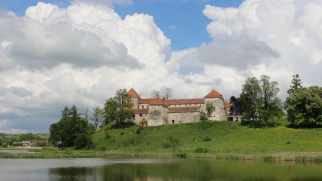 Свірзський замок