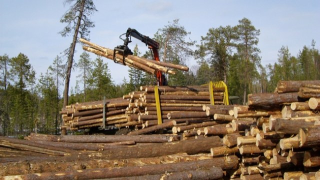 деревообробна промисловість