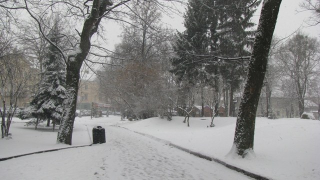 зима на Львівщині