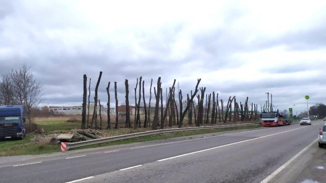 пошкодження дерев на трасі Київ-Чоп