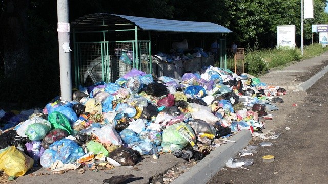 сміття у Дрогобичі