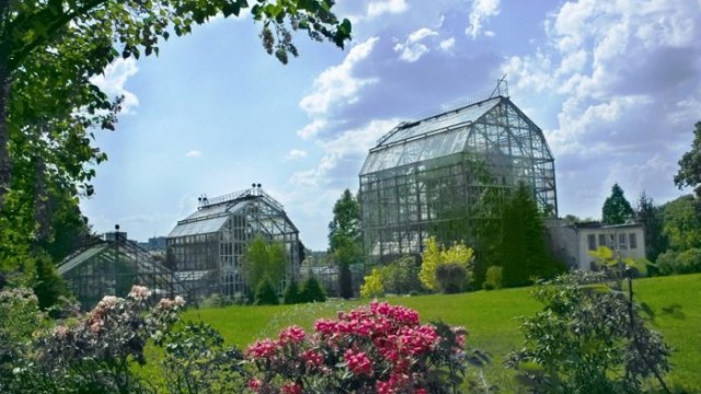 Ботанічний сад ЛНУ