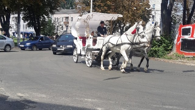 карета з кіньми у Львові