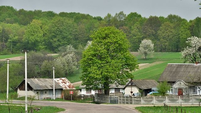 Турича, село